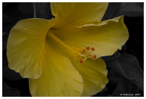 Image Hosted by ImageShack.us